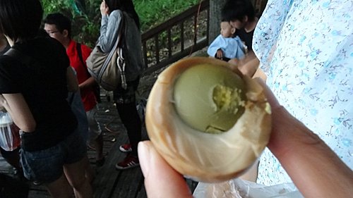 【南投】日月潭水月台民宿&遊湖 - 第15張圖 【南投】日月潭水月台民宿&遊湖