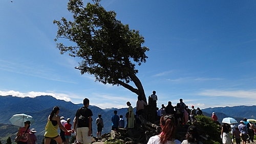 【南投】清境農場 - 第8張圖 【南投】清境農場