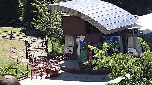 【南投】清境農場 - 第9張圖 【南投】清境農場