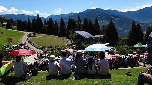 【南投】清境農場 - 第11張圖 【南投】清境農場