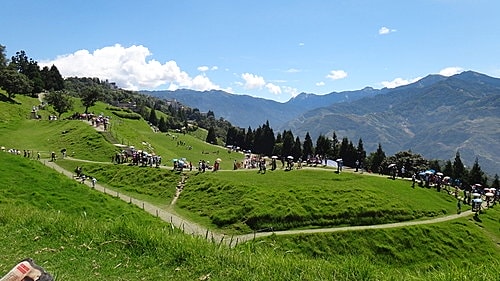 【南投】清境農場 - 第12張圖 【南投】清境農場