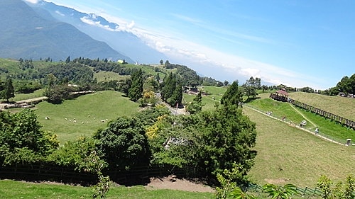 【南投】清境農場 - 第20張圖 【南投】清境農場