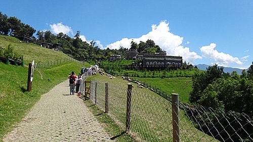 【南投】清境農場 - 第23張圖 【南投】清境農場