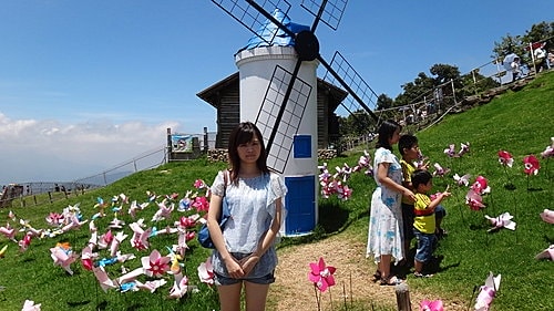 【南投】清境農場 - 第30張圖 【南投】清境農場