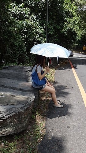 【南投】清境農場 - 第38張圖 【南投】清境農場