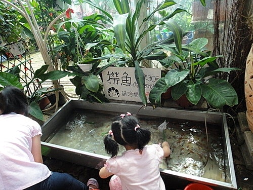 【中壢】青松農場 - 第7張圖 【中壢】青松農場