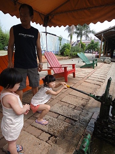 【中壢】青松農場 - 第9張圖 【中壢】青松農場