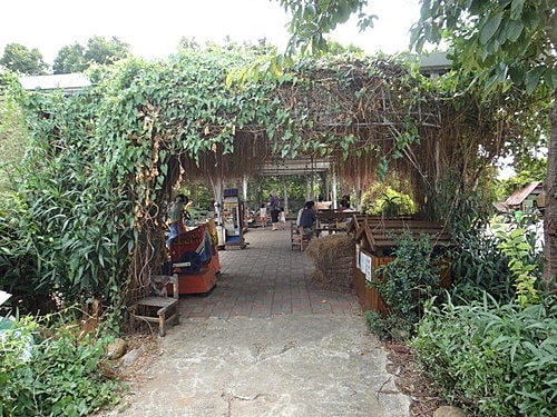 【中壢】青松農場 - 第14張圖 【中壢】青松農場