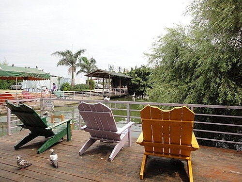 【中壢】青松農場 - 第18張圖 【中壢】青松農場