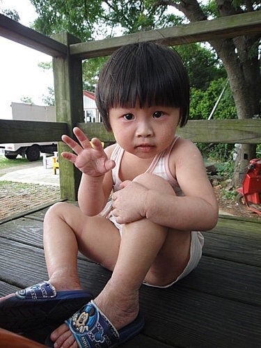 【中壢】青松農場 - 第28張圖 【中壢】青松農場