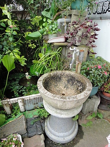 【中壢】青松農場 - 第47張圖 【中壢】青松農場