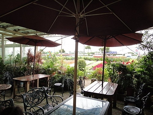 【中壢】青松農場 - 第48張圖 【中壢】青松農場