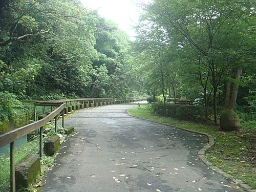 【大溪】三坑老街&大溪老街 - 第12張圖 【大溪】三坑老街&大溪老街