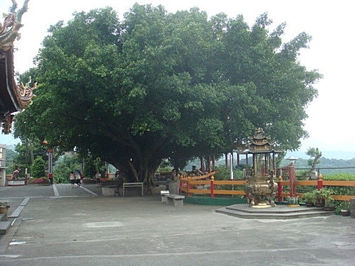 【大溪】觀音亭 - 第5張圖 【大溪】觀音亭