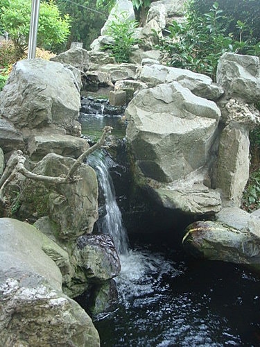 【大溪】觀音亭 - 第8張圖 【大溪】觀音亭