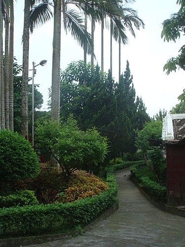 【大溪】觀音亭 - 第10張圖 【大溪】觀音亭