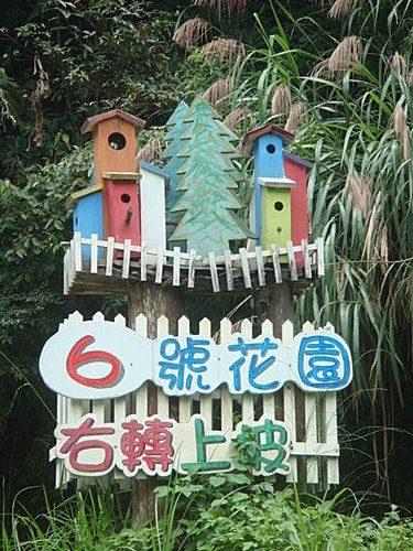 【尖石】6號花園 - 第3張圖 【尖石】6號花園