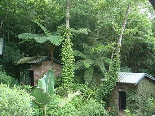 【尖石】6號花園 - 第10張圖 【尖石】6號花園