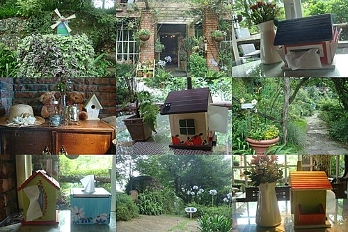 【尖石】6號花園 - 第13張圖 【尖石】6號花園