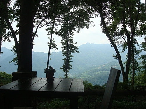 【尖石】6號花園 - 第17張圖 【尖石】6號花園