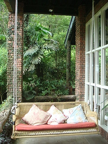 【尖石】6號花園 - 第20張圖 【尖石】6號花園