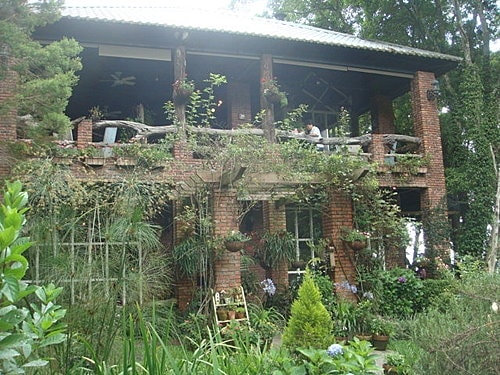 【尖石】6號花園 - 第29張圖 【尖石】6號花園