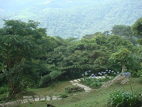 【尖石】6號花園 - 第31張圖 【尖石】6號花園