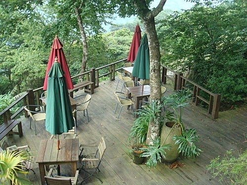 【尖石】6號花園 - 第32張圖 【尖石】6號花園