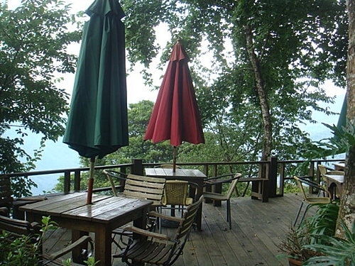 【尖石】6號花園 - 第33張圖 【尖石】6號花園