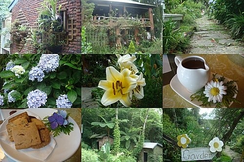 【尖石】6號花園 - 第39張圖 【尖石】6號花園