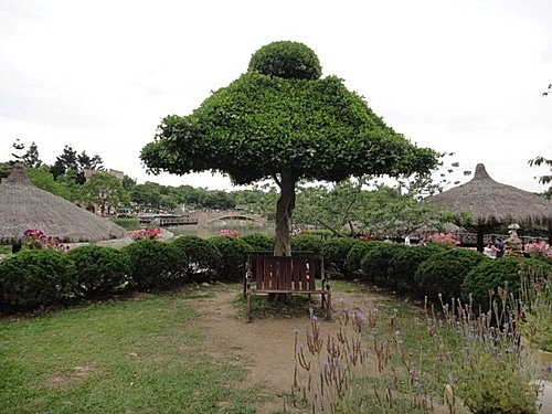 〔台中】新社莊園 - 第32張圖 〔台中】新社莊園