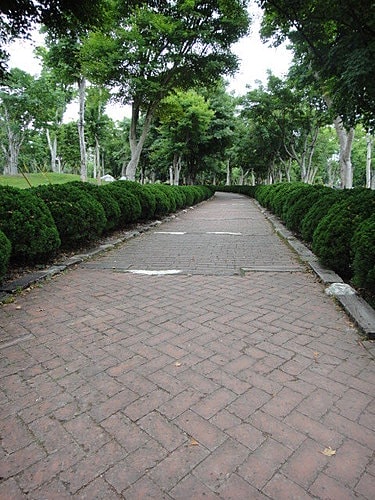 〔台中】新社莊園 - 第35張圖 〔台中】新社莊園