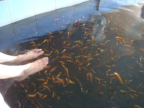 【宜蘭基隆】米粉湯&蜜餞&礁溪溫泉&猴硐 - 第17張圖 【宜蘭基隆】米粉湯&蜜餞&礁溪溫泉&猴硐