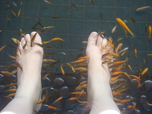 【宜蘭基隆】米粉湯&蜜餞&礁溪溫泉&猴硐 - 第18張圖 【宜蘭基隆】米粉湯&蜜餞&礁溪溫泉&猴硐