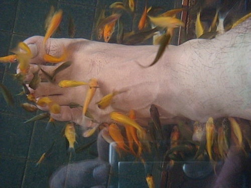 【宜蘭基隆】米粉湯&蜜餞&礁溪溫泉&猴硐 - 第19張圖 【宜蘭基隆】米粉湯&蜜餞&礁溪溫泉&猴硐