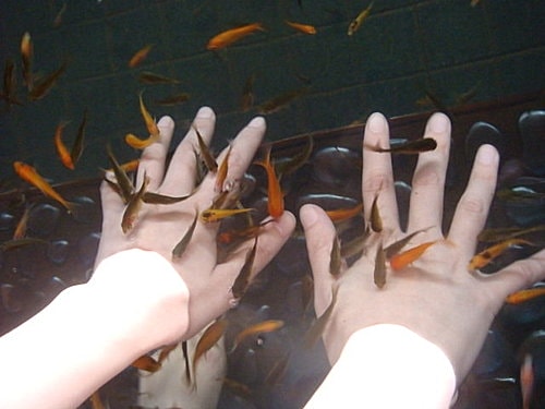 【宜蘭基隆】米粉湯&蜜餞&礁溪溫泉&猴硐 - 第22張圖 【宜蘭基隆】米粉湯&蜜餞&礁溪溫泉&猴硐