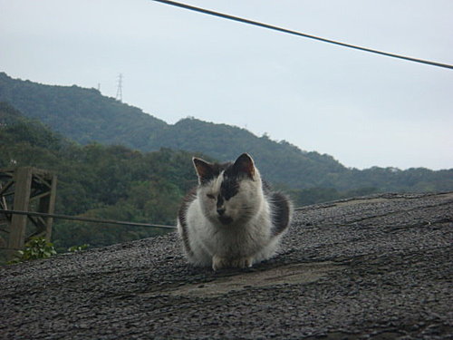【宜蘭基隆】米粉湯&蜜餞&礁溪溫泉&猴硐 - 第34張圖 【宜蘭基隆】米粉湯&蜜餞&礁溪溫泉&猴硐