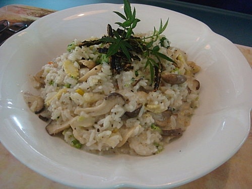 【大溪】紫蝶花影-專科同學 - 第7張圖 【大溪】紫蝶花影-專科同學