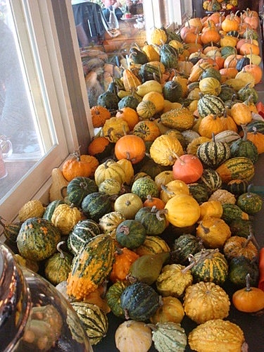 【大溪】紫蝶花影-專科同學 - 第22張圖 【大溪】紫蝶花影-專科同學