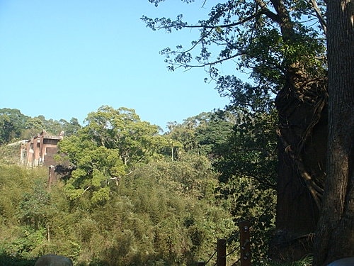 【苗栗】龍騰斷橋 - 第8張圖 【苗栗】龍騰斷橋