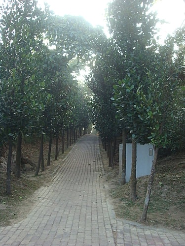 【高雄】澄清湖 - 第5張圖 【高雄】澄清湖