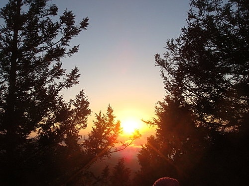 【宜蘭】太平山翠峰湖迎百年曙光 - 第5張圖 【宜蘭】太平山翠峰湖迎百年曙光