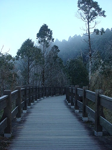 【宜蘭】太平山翠峰湖迎百年曙光 - 第9張圖 【宜蘭】太平山翠峰湖迎百年曙光