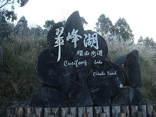 【宜蘭】太平山翠峰湖迎百年曙光 - 第8張圖 【宜蘭】太平山翠峰湖迎百年曙光