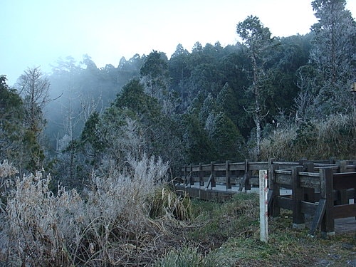 【宜蘭】太平山翠峰湖迎百年曙光 - 第10張圖 【宜蘭】太平山翠峰湖迎百年曙光