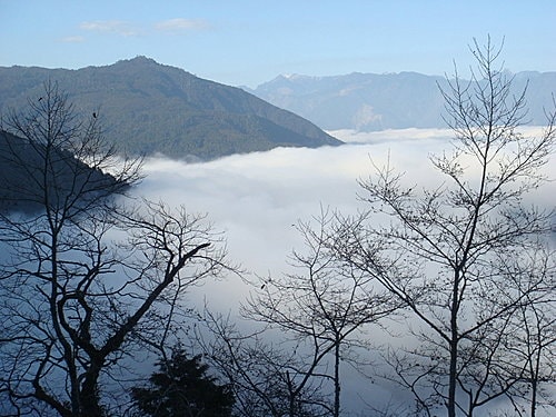 【宜蘭】太平山翠峰湖迎百年曙光 - 第13張圖 【宜蘭】太平山翠峰湖迎百年曙光