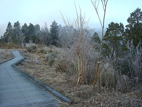 【宜蘭】太平山翠峰湖迎百年曙光 - 第12張圖 【宜蘭】太平山翠峰湖迎百年曙光