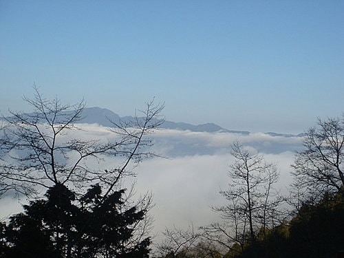 【宜蘭】太平山翠峰湖迎百年曙光 - 第14張圖 【宜蘭】太平山翠峰湖迎百年曙光