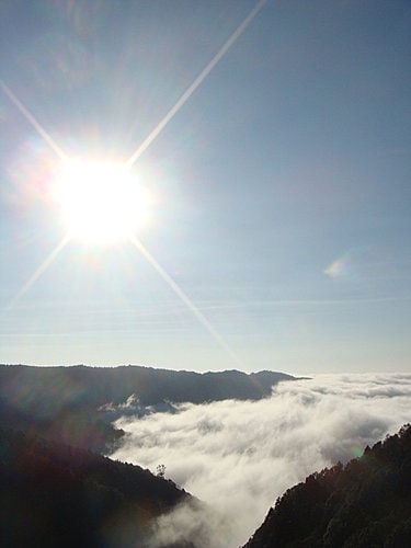 【宜蘭】太平山翠峰湖迎百年曙光 - 第16張圖 【宜蘭】太平山翠峰湖迎百年曙光