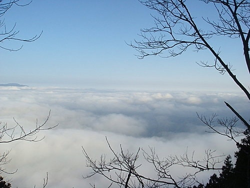 【宜蘭】太平山翠峰湖迎百年曙光 - 第15張圖 【宜蘭】太平山翠峰湖迎百年曙光